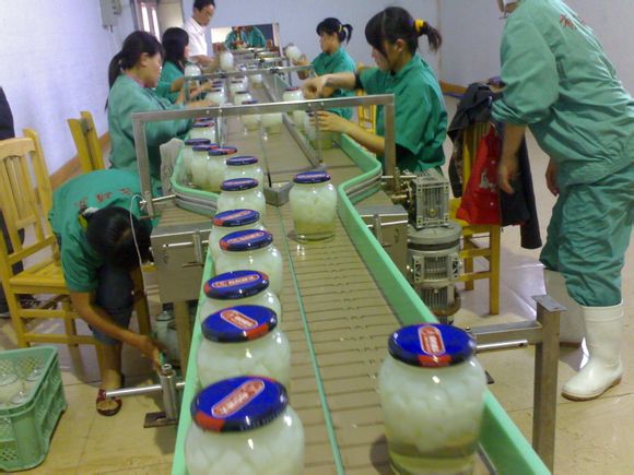 鏈板輸送機